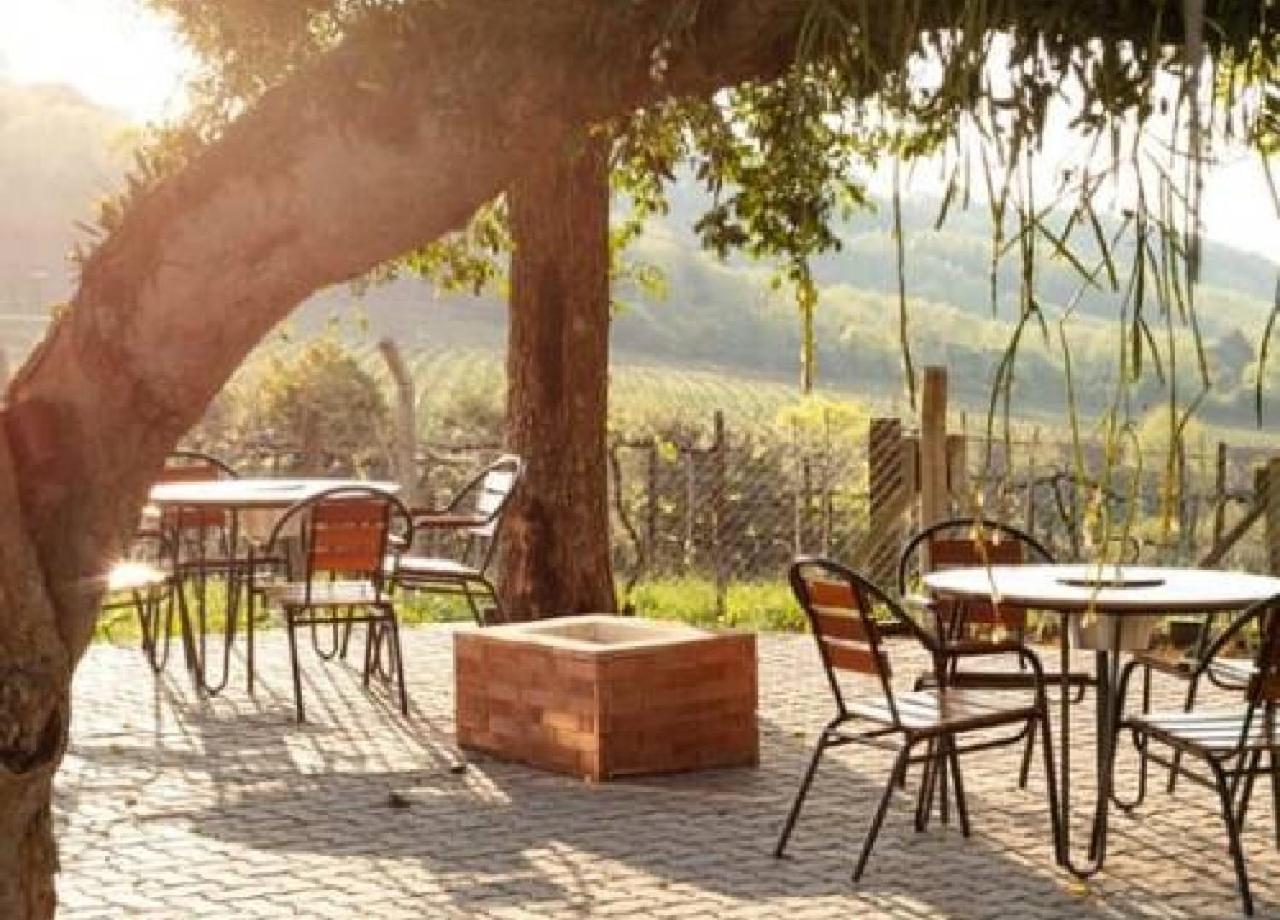 E Vinicola Boutique Begamo - Vale Dos Vinhedos Apartment Bento Goncalves
